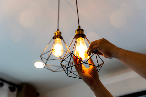 Best Electric Panel Repair  in Maury, NC